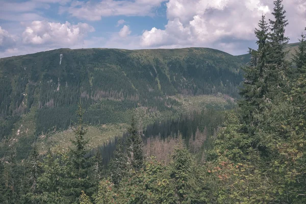 beautiful Tatra mountains and woods under cloudy sky, Slovakia