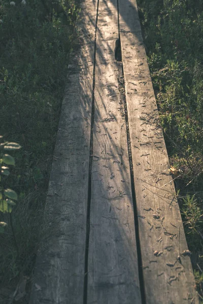 Wooden Plank Footpath Boardwalk Swamp Area Sunlight — Stock Photo, Image
