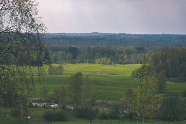 Zwykły Countryside Krajobraz Wiosną Świeżych Zielonych Łąk Lasów — Zdjęcie stockowe