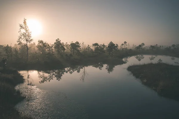 Nascer Sol Com Névoa Área Pantanosa Pântano Com Reflexos Árvores — Fotografia de Stock