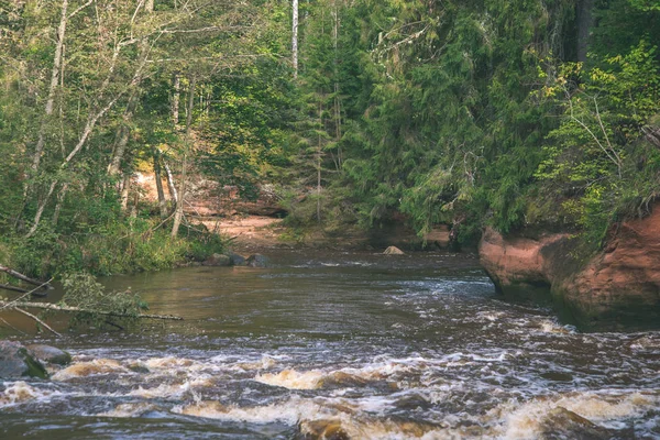 kumtaşı kayalıklarla nehrin Amata ve yeşil ormanlar, Letonya, sahilinde