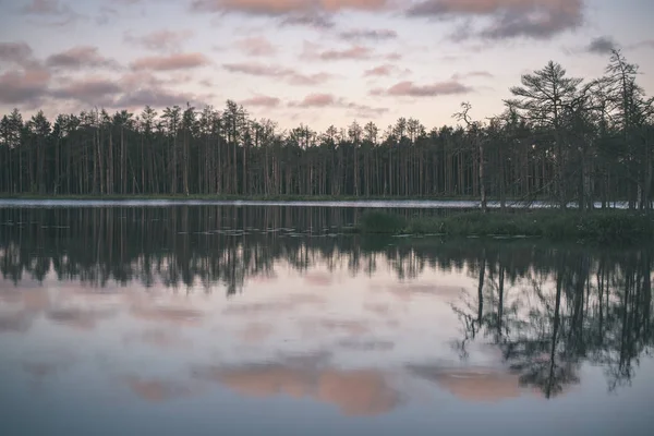 Reflets Arbres Dans Eau Calme Lac Coucher Soleil — Photo