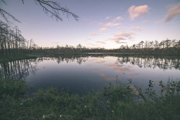 Späte Abendsonne Über Sumpfseen Sommer Mit Reflexionen Von Bäumen Ruhigem — Stockfoto