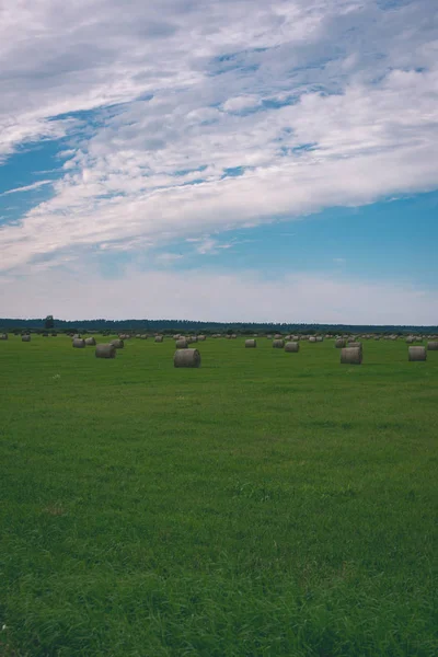 Rolls Hay Green Field Cloudy Sky Countryside Latvia — Stock Photo, Image