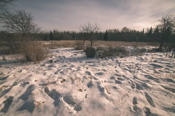 Gröna Landskapet Med Gräs Täckt Med Snö Lettland — Stockfoto