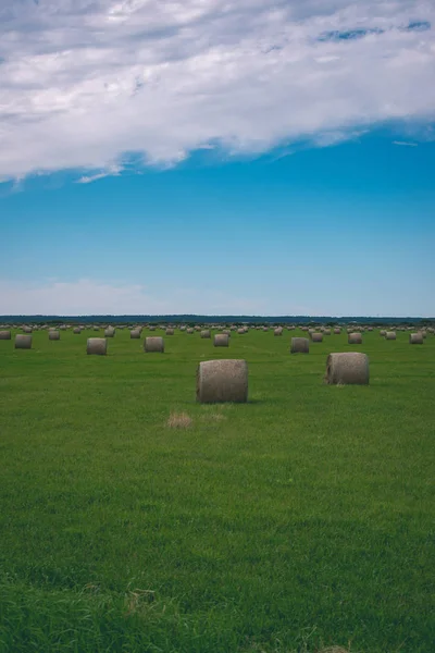 Rullar Gröna Fältet Blå Himmel Landsbygden Lettland — Stockfoto