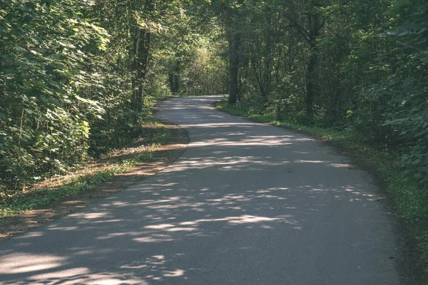 Asphalt Wavy Road Forest Summer — Stock Photo, Image