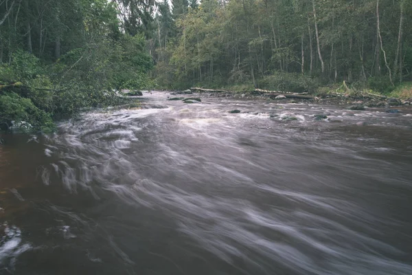 Быстрая Река Зеленом Летнем Лесу Латвия — стоковое фото