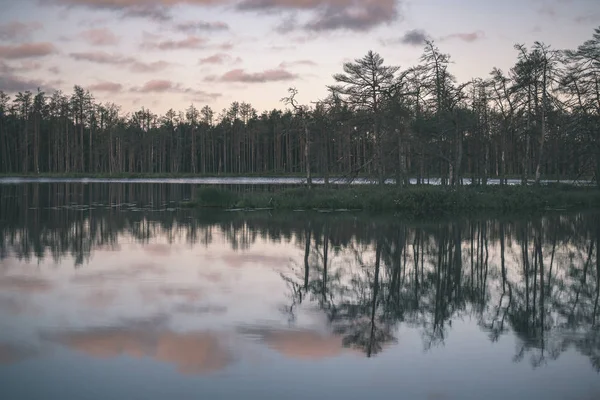 Reflektioner Träd Lugn Sjövatten Vid Solnedgången — Stockfoto