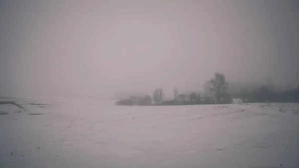 Landschaft Mit Schneebedeckten Feldern Lettland — Stockfoto
