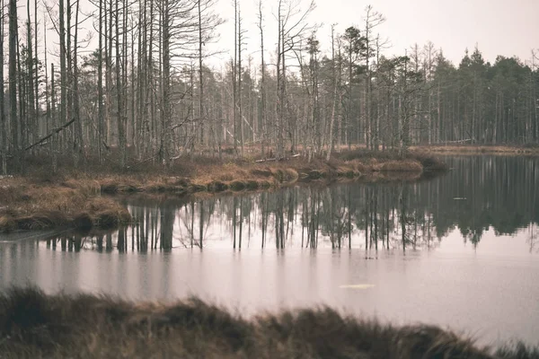 Reflexionen Von Bäumen Ruhigen Wasser Des Sees — Stockfoto