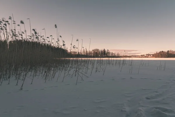 Pejzaż Zimowy Krajobraz Pola Pod Śniegiem Czyste Niebo Łotwa — Zdjęcie stockowe