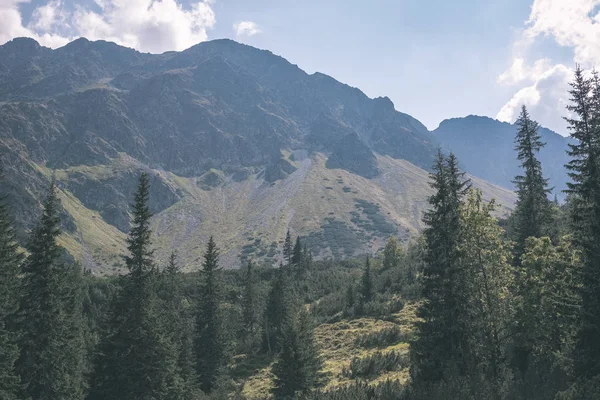 güzel Tatra Dağları ve ağaçların altında mavi gökyüzü, Slovakya