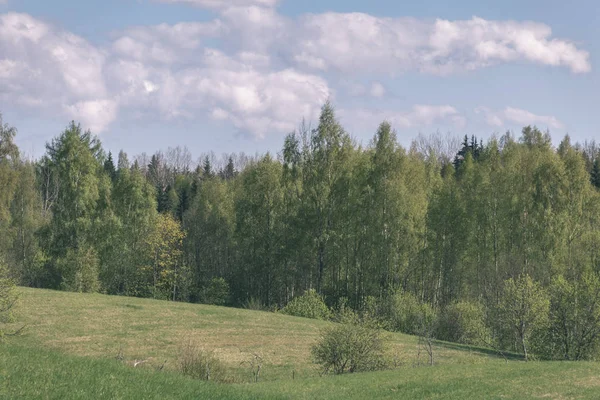 düz basit kırsal bahar yatay, taze yeşil çayır ve orman