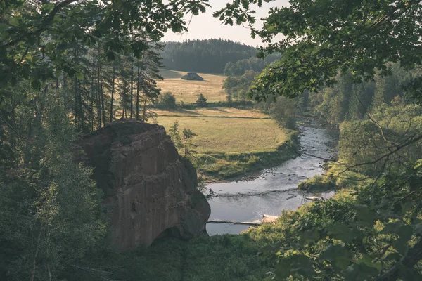 Vattenströmmen Floden Amata Lettland Med Gröna Blad Sommaren — Stockfoto