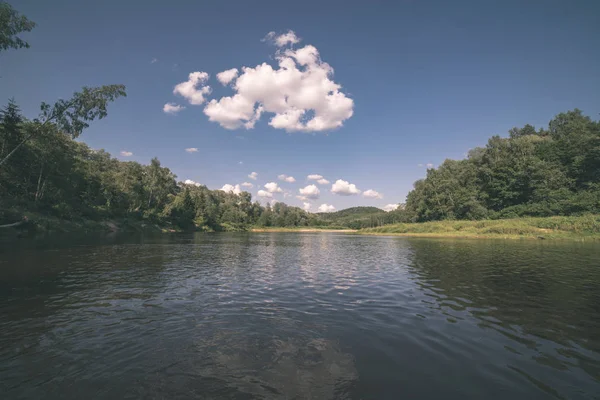 Nehir Amata Letonya Yaz Yeşil Yeşillik Ile Akışı — Stok fotoğraf