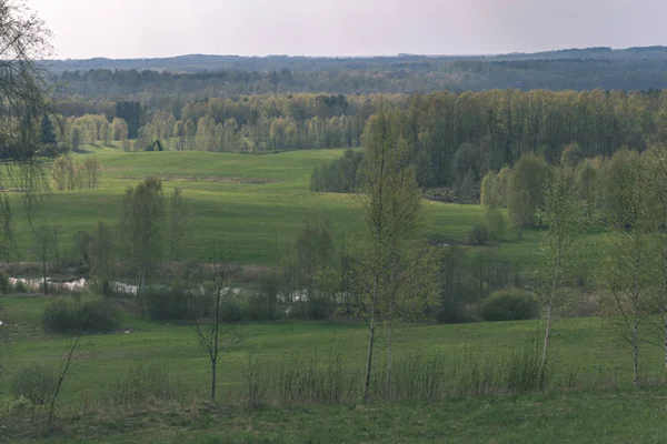 Llanura Simple Paisaje Primavera Campo Con Prados Verdes Frescos Bosques — Foto de Stock