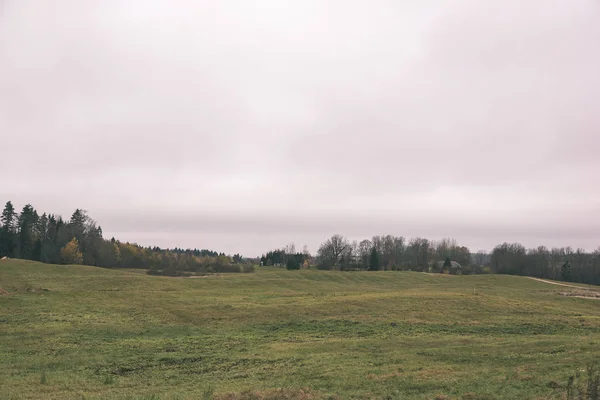 Krajobraz Pól Lasów Pod Zachmurzonym Niebie — Zdjęcie stockowe