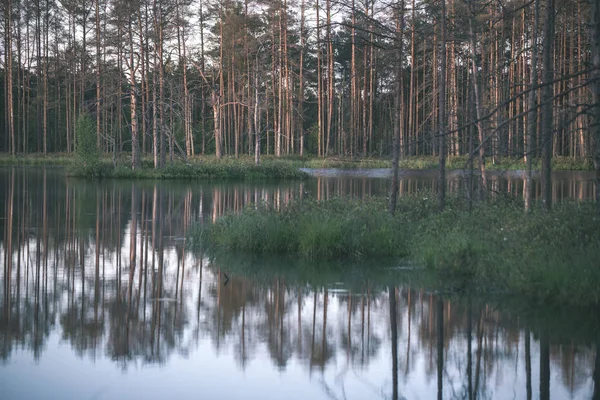 Отражения Деревьев Спокойной Озерной Воде Закате — стоковое фото