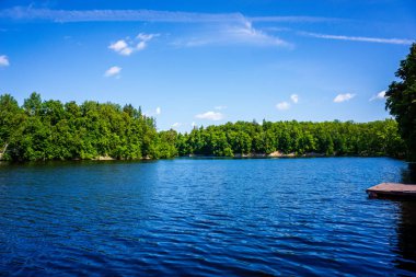 yeşil yaz yeşillik Nehri'nin kıyısında