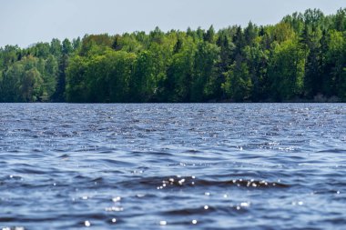 mavi gökyüzü göl kıyısında yeşil yeşillik ile yaz aylarında sakin su üzerinde beyaz bulutlar ile