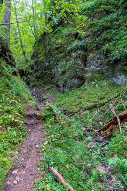 Gauja Nehri, Letonya yaz kumtaşı kayalıklardan yakınındaki