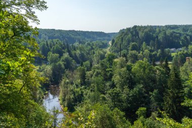 dalgalı yeşil yaz aylarında güneşli hava, Amata nehir, Letonya ormanda nehirde