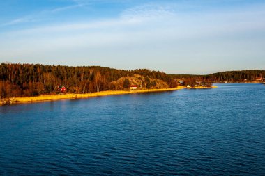 yeşil yaz yeşillik Nehri'nin kıyısında