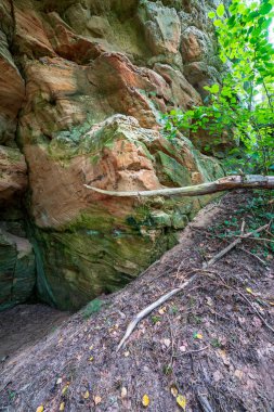 kırmızı kumtaşı kayalıklarla ve nehir Gauja yaz, Letonya yakınındaki ormanda