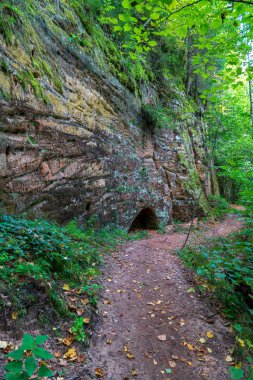 kırmızı kumtaşı kayalıklarla ve nehir Gauja yaz, Letonya yakınındaki ormanda