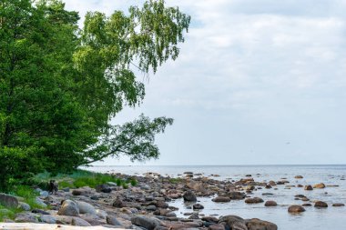 bulutlar ile mavi gökyüzü altında kayalık plaj