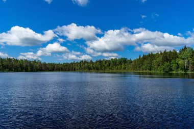 mavi gökyüzü göl kıyısında yeşil yeşillik ile yaz aylarında sakin su üzerinde beyaz bulutlar ile
