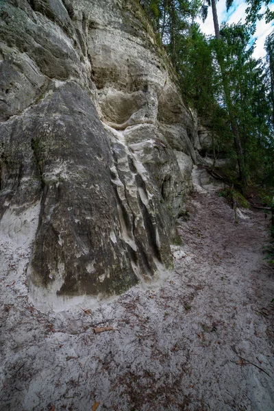 Textura Penhascos Rochosos Perto Rio Gauja Letônia Verão — Fotografia de Stock