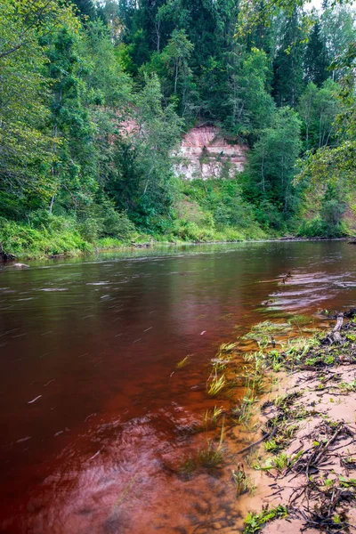 Río Arenisca Acantilados Bosque Verano Verde Río Amata Letonia — Foto de Stock