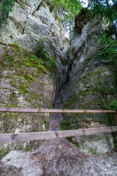 Falésias Arenito Com Trilha Turística Perto Rio Gauja Letônia — Fotografia de Stock