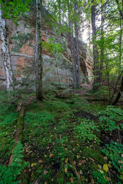 Röda Sandstensklippor Och Skogen Nära Floden Gauja Sommar Lettland — Stockfoto