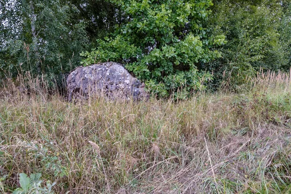 Τραχύ Βράχο Στο Γρασίδι Στην Καλοκαιρινή Φύση — Φωτογραφία Αρχείου
