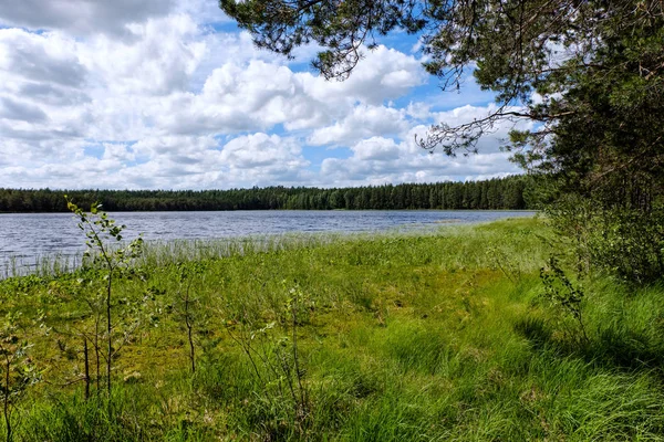 Paesaggio Bellissimo Lago Campagna Estiva — Foto Stock