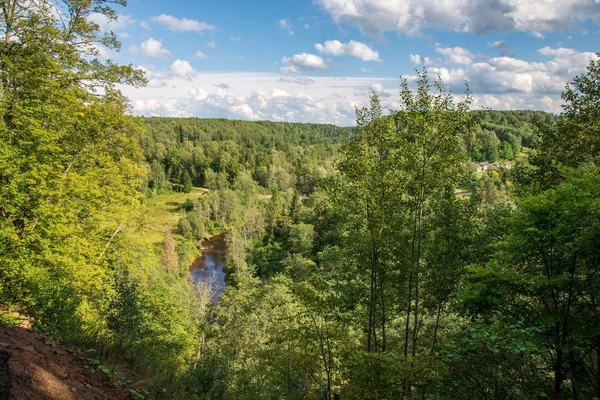 view from above of wavy river in woods in green summer, Amata river, Latvia