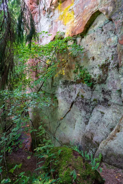 Acantilados Arenisca Bosques Verano Cerca Del Río Gauja Letonia —  Fotos de Stock