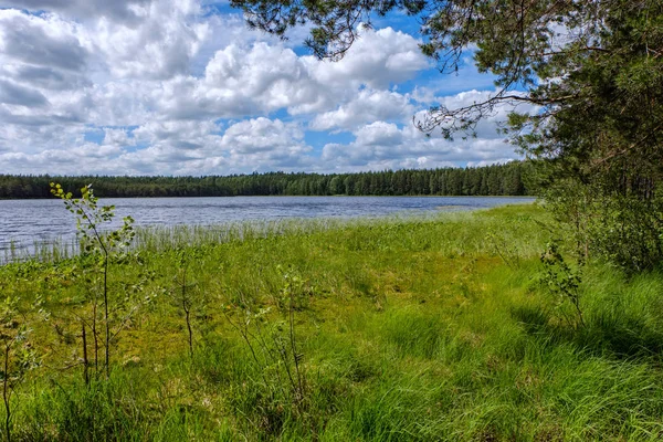 Paysage Beau Lac Dans Campagne Estivale — Photo