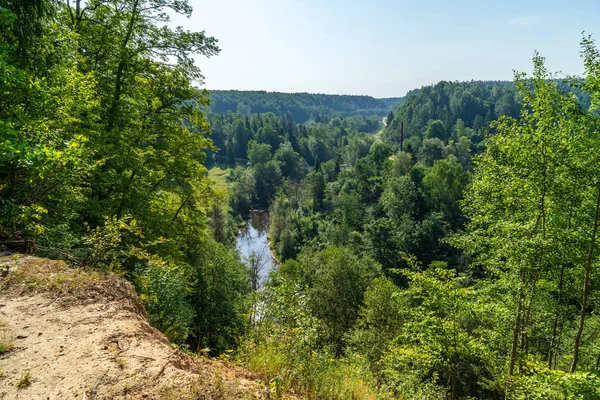 Rivière Ondulée Dans Forêt Été Vert Par Temps Ensoleillé Rivière — Photo