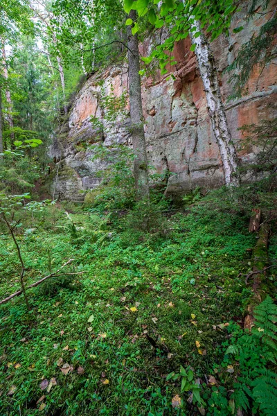 Acantilados Arenisca Roja Bosques Cerca Del Río Gauja Verano Letonia —  Fotos de Stock