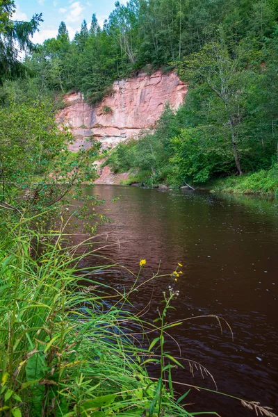 Rivier Zandsteen Rotsen Bos Groene Zomer Amata Rivier Letland — Stockfoto