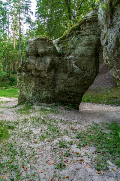 夏季拉脱维亚高亚河附近树林中的砂岩岩层 — 图库照片