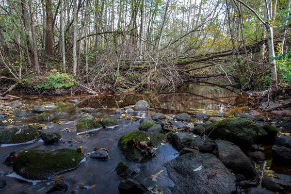 Steine Bachwasser Herbstwald — Stockfoto