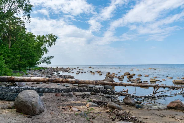 Sziklás Strand Kék Felhők Alatt — Stock Fotó