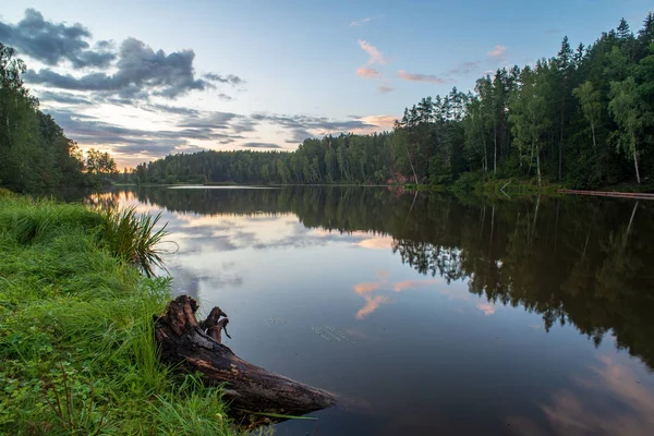 Lago Verano Con Follaje Verde Árboles Hierba Las Orillas Bajo — Foto de Stock