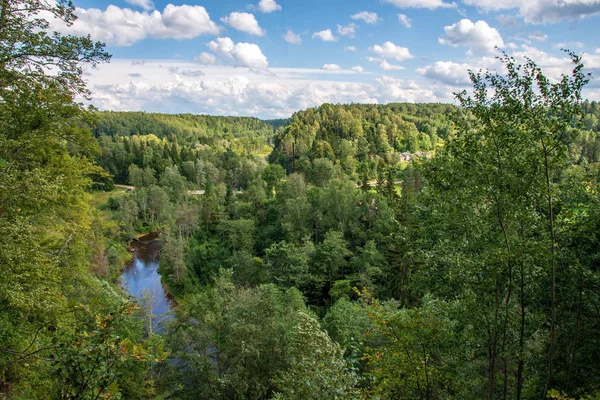 Vista Dall Alto Del Fiume Ondulato Nel Bosco Estate Verde — Foto Stock