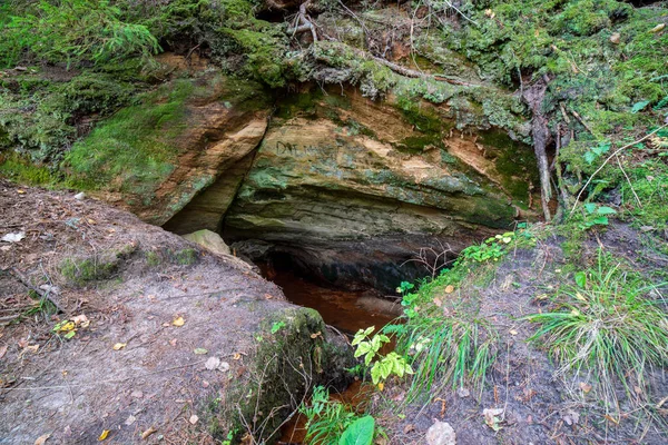 Acantilados Arenisca Bosques Verano Cerca Del Río Gauja Letonia — Foto de Stock